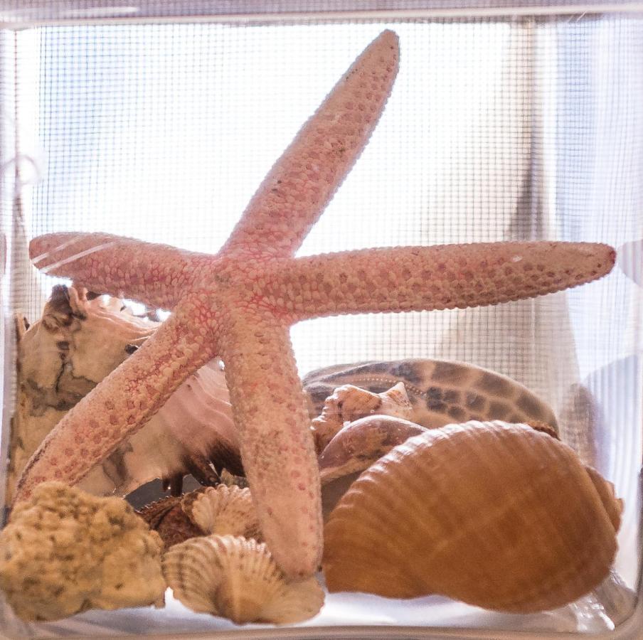 Alikí Exohikoヴィラ エクステリア 写真